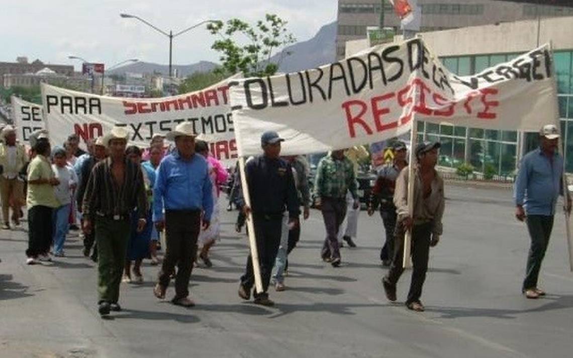 Familia Baldenegro, asesinados en su defensa por el bosque - El Sol de  Parral | Noticias Locales, Policiacas, sobre México, Chihuahua y el Mundo