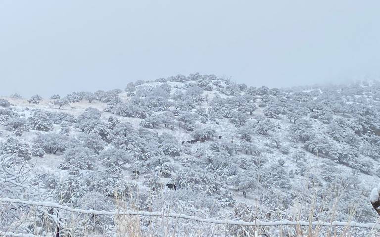 Frente frío 8 podría dejar nevadas y lluvia engelante en Chihuahua - El  Heraldo de Chihuahua
