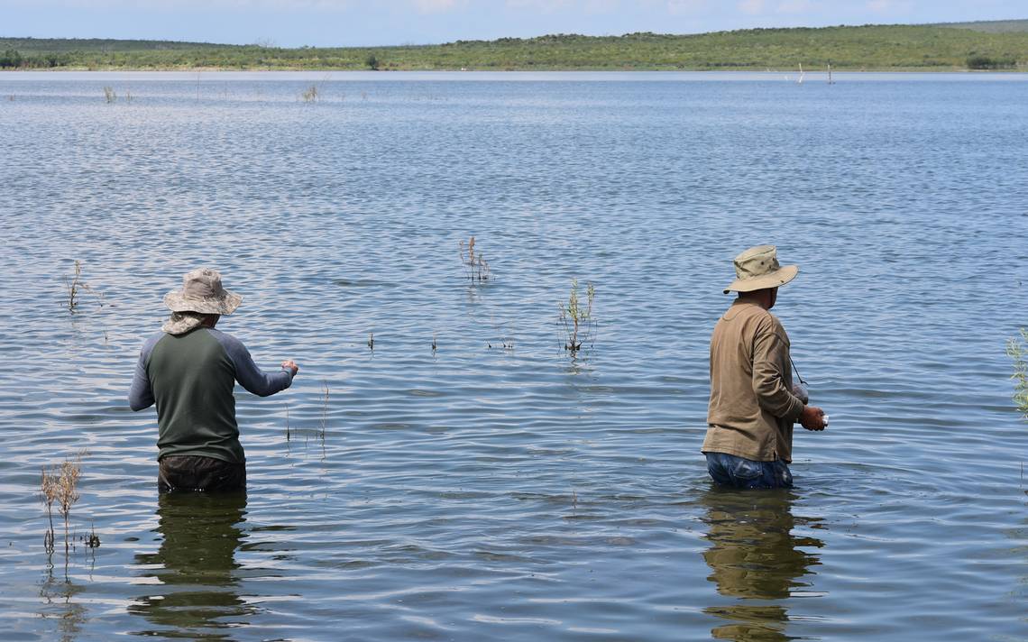 Practican pesca deportiva en la presa Piedras Azules presas agua pescadores  noticias allende chihuahua - El Sol de Parral