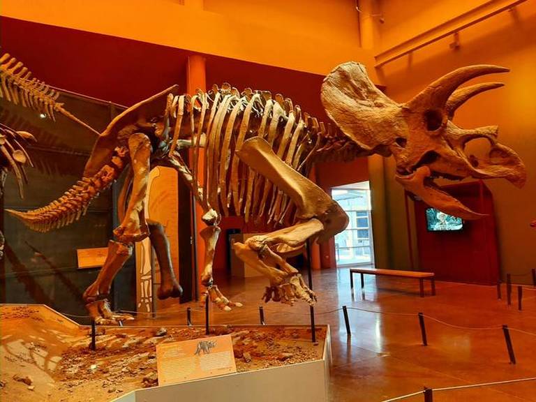 El T-Rex y otros dinosaurios que vivieron en Chihuahua - El Sol de Parral |  Noticias Locales, Policiacas, sobre México, Chihuahua y el Mundo