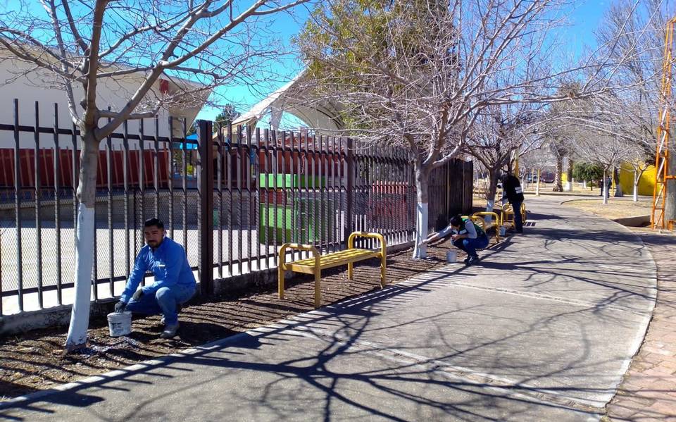 Personal de DUyE aplica encalado en árboles del parque Gerardo Montes - El  Sol de Parral | Noticias Locales, Policiacas, sobre México, Chihuahua y el  Mundo